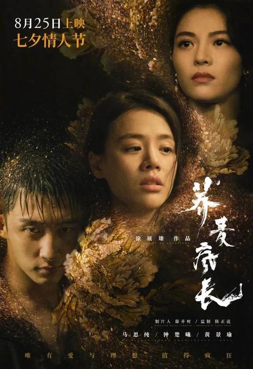 马尔凯理工大学Accounting Diplom
